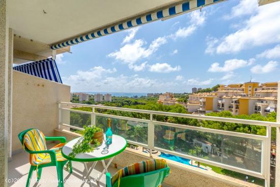 Apartamento en Campoamor 800m de la playa - ALICANTE