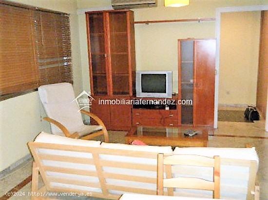 Apartamento en el centro - CACERES