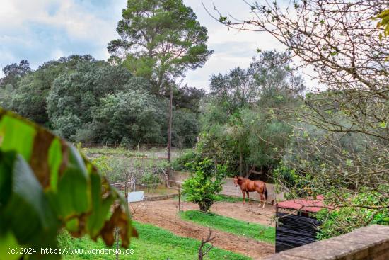 Finca rústica en Costitx - BALEARES