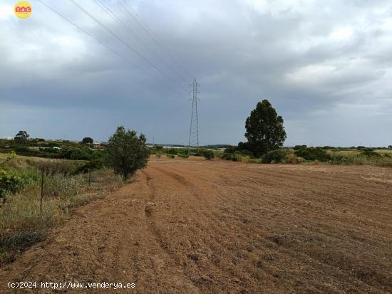 Finca con casa en Lepe - HUELVA