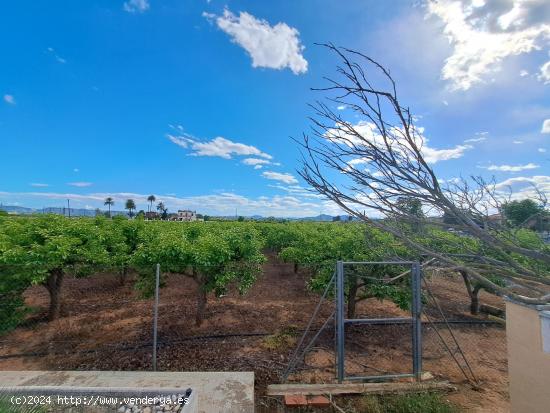 Casa de campo con gran terreno a 5 minutos de La Pobla Llarga - VALENCIA