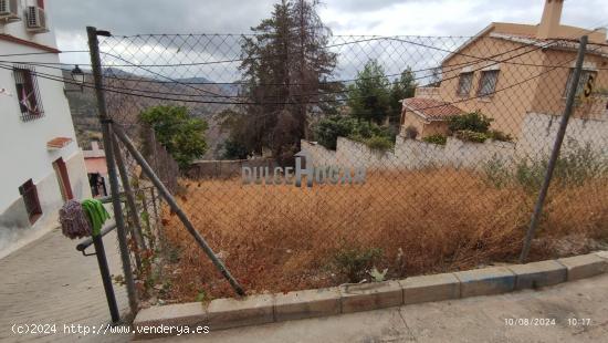 GRAN TERRENO  URBANO EN OLIAS PUEBLO. - MALAGA