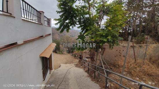 GRAN TERRENO  URBANO EN OLIAS PUEBLO. - MALAGA