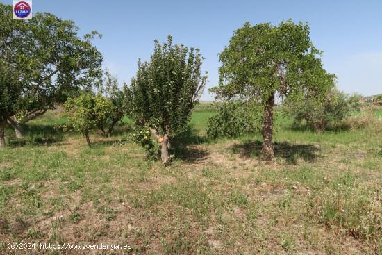  Se Vende en Peralta - NAVARRA 