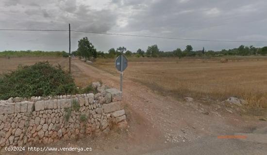 Terreno en Algaida - BALEARES