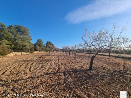   ¡Aprovecha esta Oportunidad Única en El Perello!  - TARRAGONA 