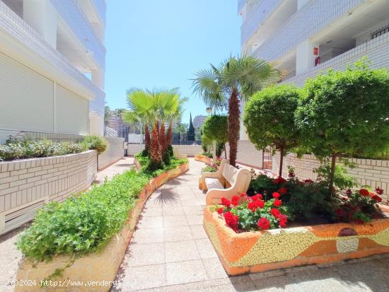 Se Vende en Oropesa del Mar - Orpesa - CASTELLON