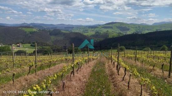 Se vende finca con explotación ganadera en Bárcena de Cicero - CANTABRIA