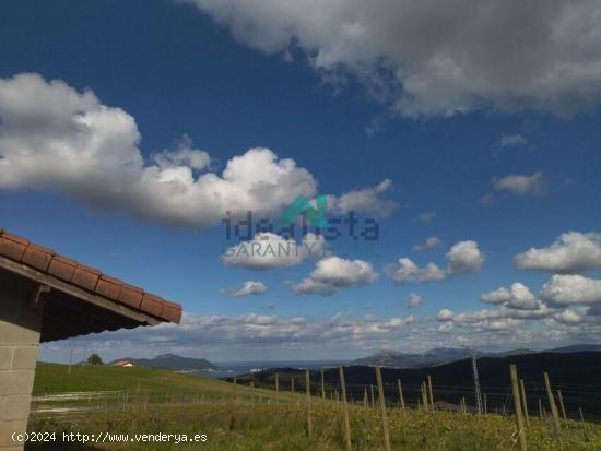 Se vende finca con explotación ganadera en Bárcena de Cicero - CANTABRIA