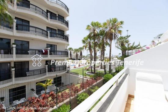 1 bedroom apartment, California, Playa de las Americas, Arona - SANTA CRUZ DE TENERIFE