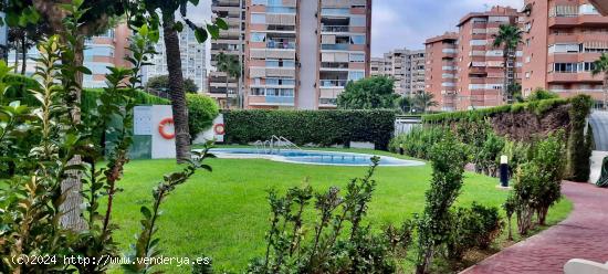 SE VENDE UN PISO EN BENIDORM - ALICANTE