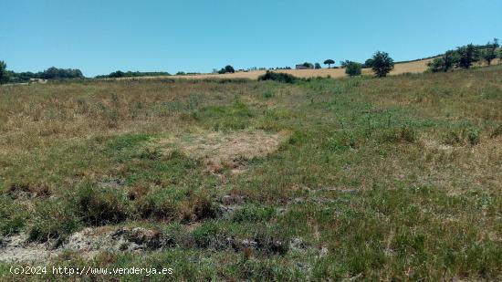 El Fain, Monarda y Hoyos del Boyero - CADIZ