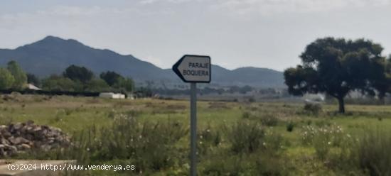 Finca rústica en Salinas - ALICANTE