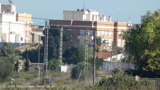 Finca rústica en Elche - ALICANTE