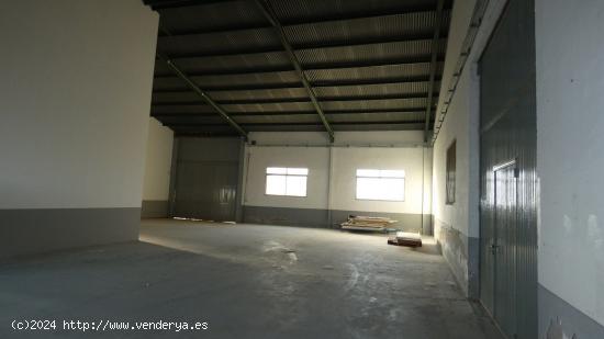  Nave Industrial en Dolores - ALICANTE 