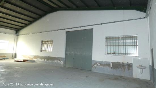 Nave Industrial en Dolores - ALICANTE