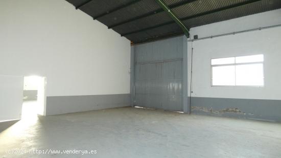 Nave Industrial en Dolores - ALICANTE