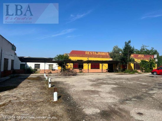 RESTAURANTE JUNTO A CARRETERA N-IV. - Bailén