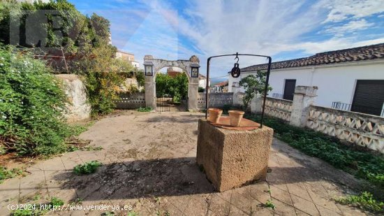  GRAN VIVIENDA SEÑORIAL CON GRANDES JARDINES EN EL CENTRO - Baños de la Encina 