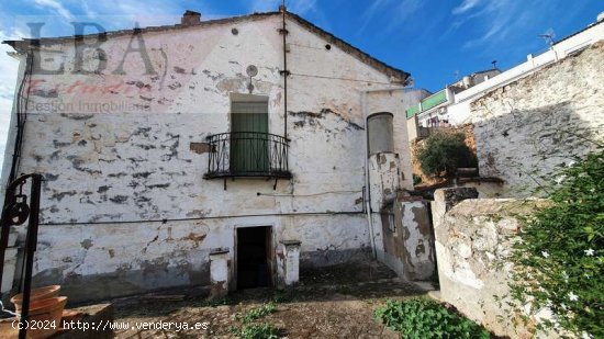 GRAN VIVIENDA SEÑORIAL CON GRANDES JARDINES EN EL CENTRO - Baños de la Encina