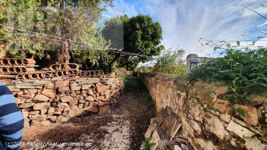 GRAN VIVIENDA SEÑORIAL CON GRANDES JARDINES EN EL CENTRO - Baños de la Encina