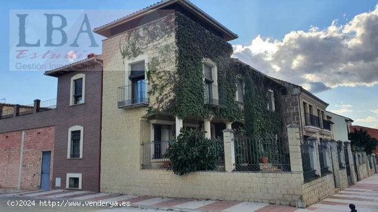 VIVIENDA EMBLEMATICA JUNTO AL MONUMENTO DE LA BATALLA DE BAILÉN - Bailén