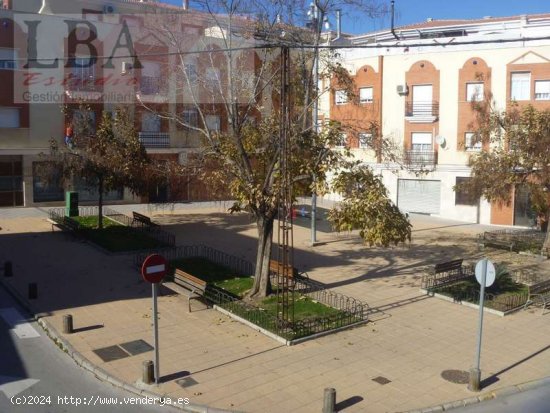 VIVIENDA BIFAMILIAR PARA ADECUAR A DOS VIVIENDAS O UNA GRAN CASA - Bailén