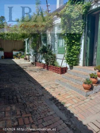 Restaurante en el Centenillo. - Baños de la Encina