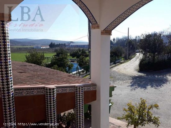 Chalet en las Infantas. - Jaén