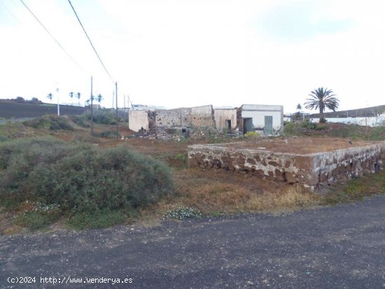 SE VENDE CASA ANTIGUA PARA RESTAURAR Y FINCA EN EL CENTRO DE MONTAÑA BLANCA - San Bartolomé