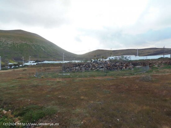 SE VENDE CASA ANTIGUA PARA RESTAURAR Y FINCA EN EL CENTRO DE MONTAÑA BLANCA - San Bartolomé