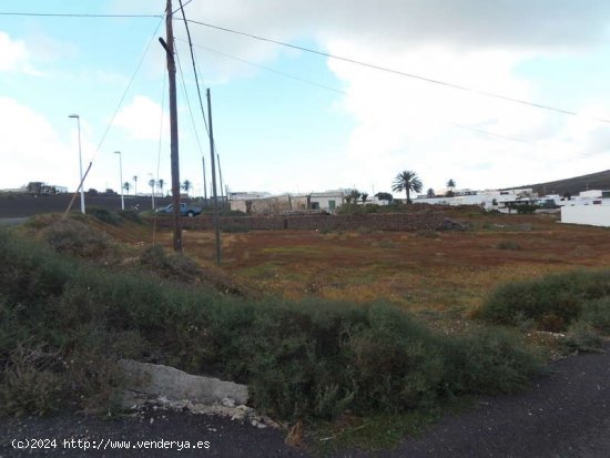 SE VENDE CASA ANTIGUA PARA RESTAURAR Y FINCA EN EL CENTRO DE MONTAÑA BLANCA - San Bartolomé