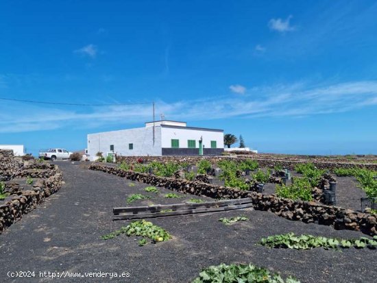 Casa tradicional canaria en Tinajo - Tinajo