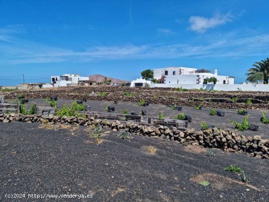 Casa tradicional canaria en Tinajo - Tinajo