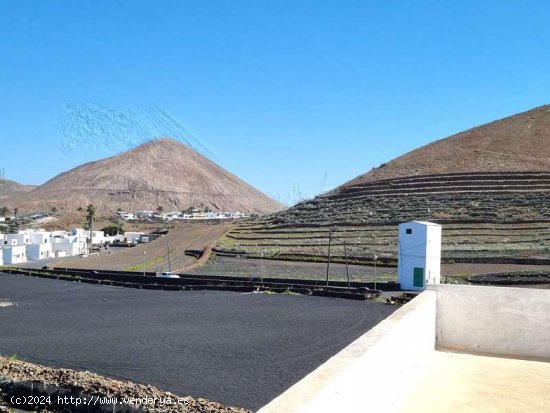 Casa tradicional canaria en Tinajo - Tinajo