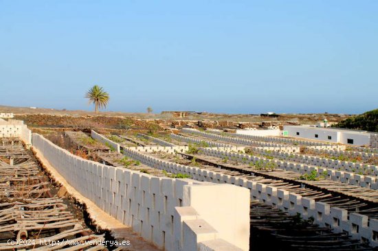 BODEGA EN VENTA - Haría