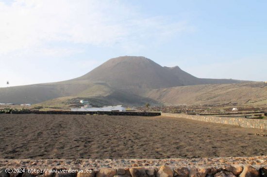 BODEGA EN VENTA - Haría