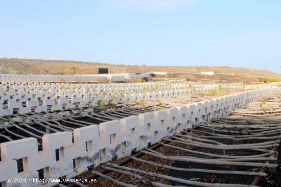 BODEGA EN VENTA - Haría