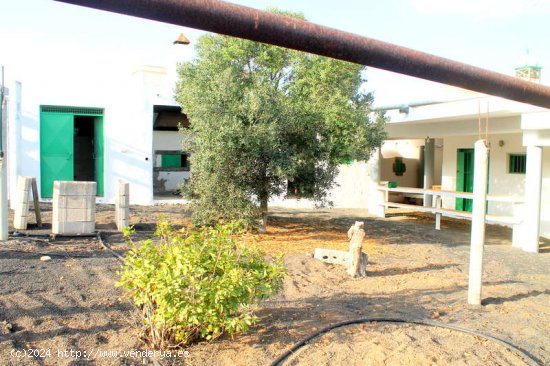 BODEGA EN VENTA - Haría