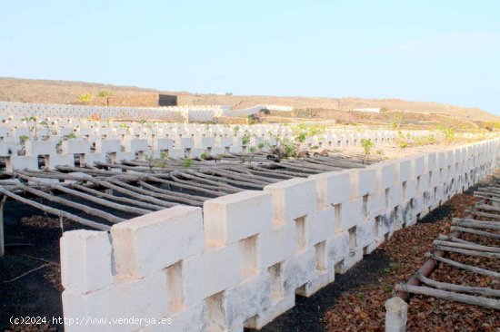 BODEGA EN VENTA - Haría