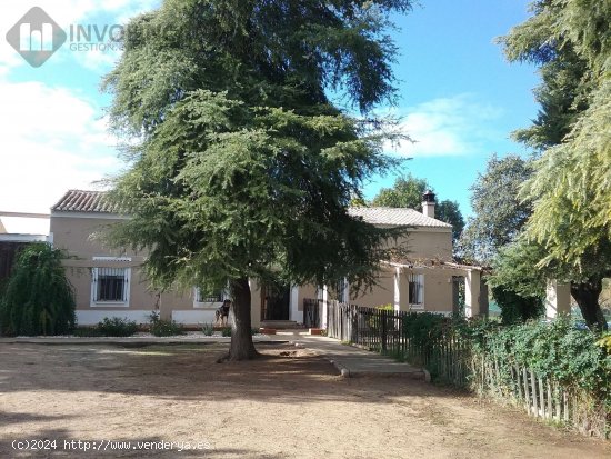 EXCLUSIVO CORTIJO-FINCA RUSTICA DE REGADIO EN CTRA DE SEVILLA - Badajoz