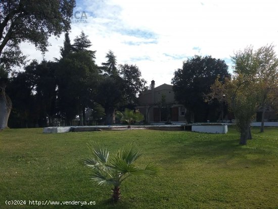 EXCLUSIVO CORTIJO-FINCA RUSTICA DE REGADIO EN CTRA DE SEVILLA - Badajoz