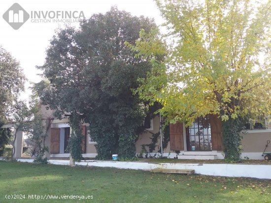 EXCLUSIVO CORTIJO-FINCA RUSTICA DE REGADIO EN CTRA DE SEVILLA - Badajoz