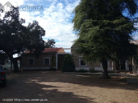 EXCLUSIVO CORTIJO-FINCA RUSTICA DE REGADIO EN CTRA DE SEVILLA - Badajoz