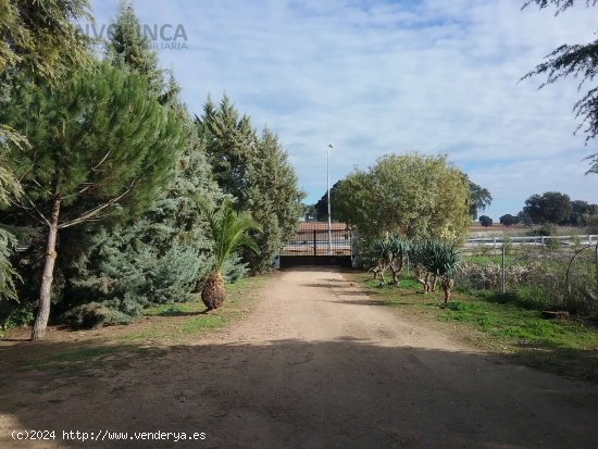 EXCLUSIVO CORTIJO-FINCA RUSTICA DE REGADIO EN CTRA DE SEVILLA - Badajoz