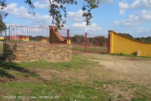 SE VENDE OPORTUNIDAD PRECIOSA FINCA GANADERA Y RECREO EN VENTA EN CACERES - Torrejón el Rubio