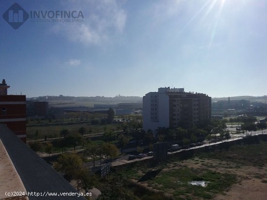 OPORTUNIDAD ATICO-DUPLEX EN VENTA EN RONDA NORTE - Badajoz