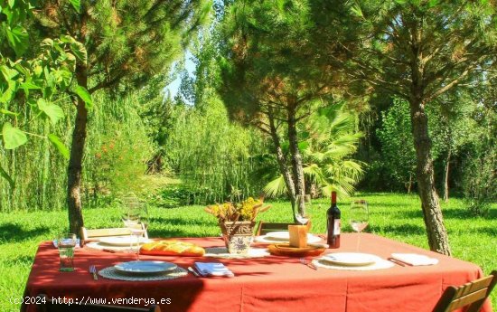 EXCLUSIVO CHALET DE LUJO Y FINCA RÚSTICA - Gevora del caudillo