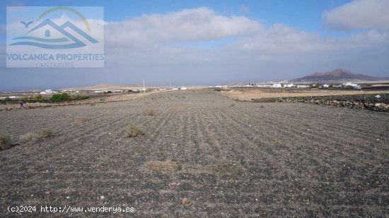 SE VENDE (Ref.347125) Terreno Rústico en Muñique - Teguise