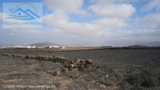 SE VENDE (Ref.347125) Terreno Rústico en Muñique - Teguise